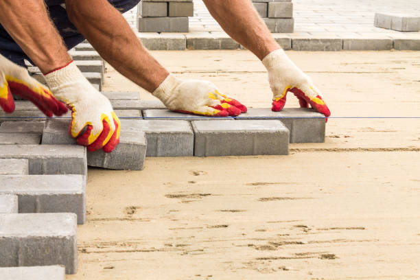 Best Driveway Paving Near Me  in Baltic, CT